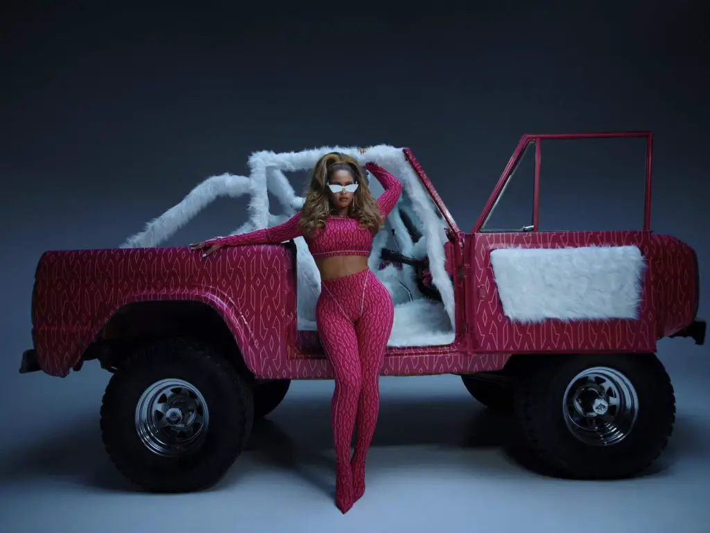 beyonce-icy-park