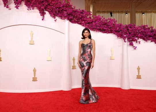 2024-oscars-red-carpet-looks
