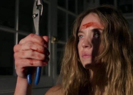 The Housemaid's Secret teaser poster official announcement